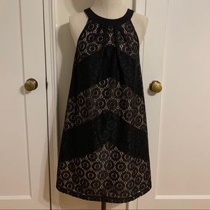 Maggy London lace Black and Cream dress size 8